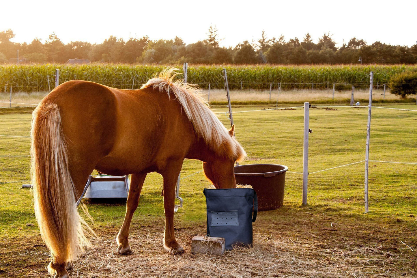 Premium Durable Hay Bag for Horses – High-Quality, Long-Lasting Feed Solution.(Art-HB-07)