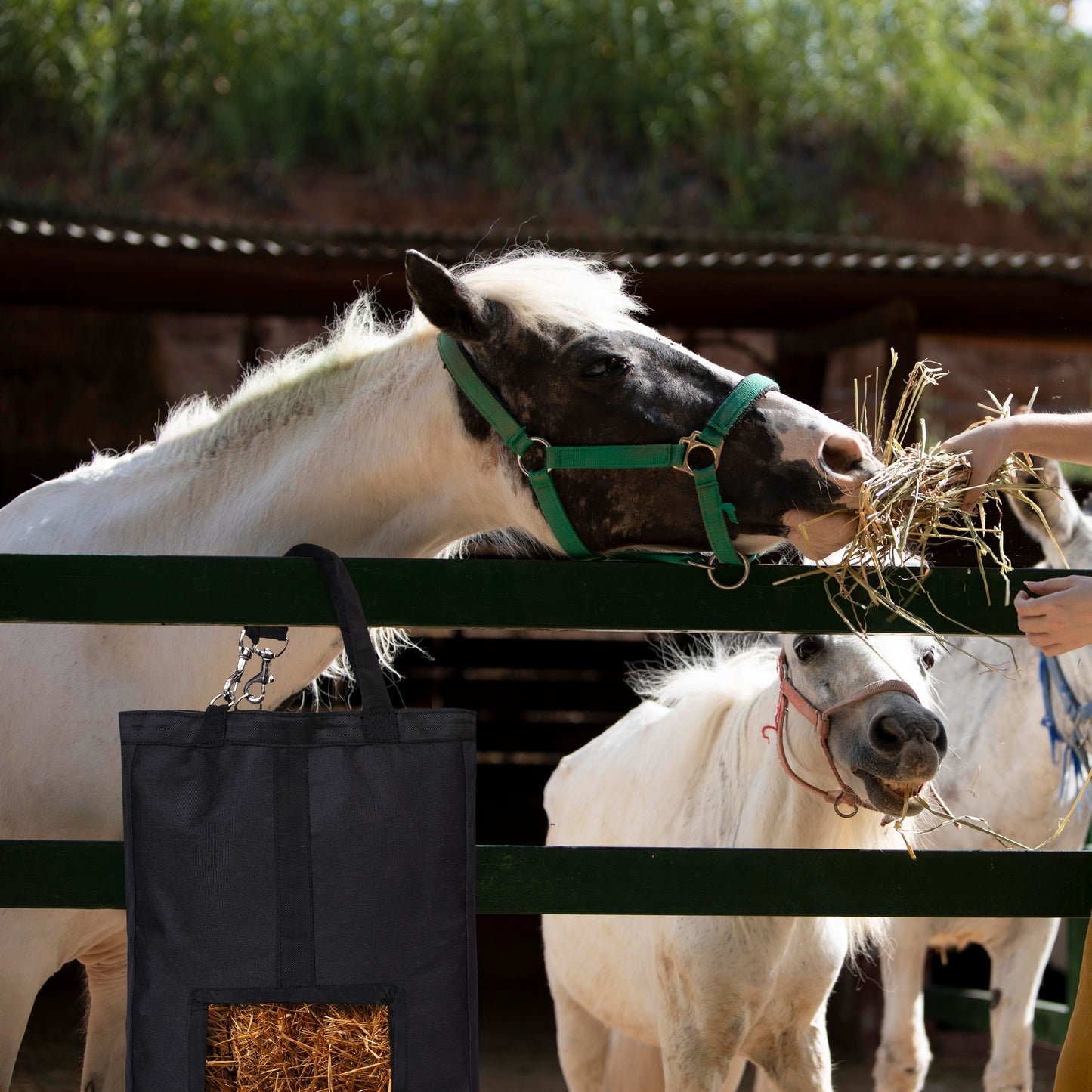 "Stylish & Durable Hay Bag – Perfect for Convenient Horse Feeding".(Art-HB-05)