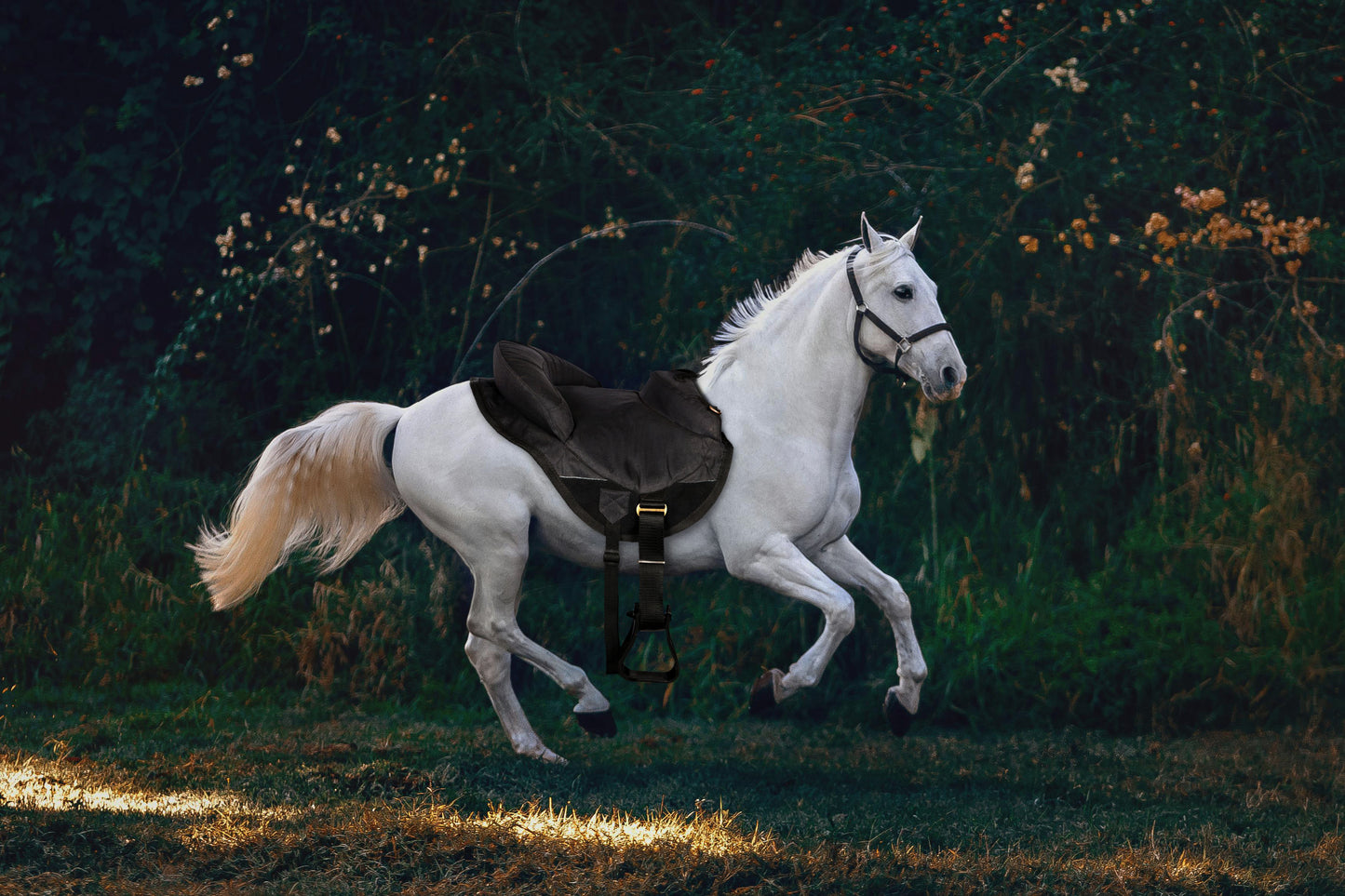 Premium Horse Saddle - Comfort, Durability, and Performance.(Art-FSD-18)